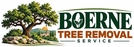 Boerne Tree Removal Service
